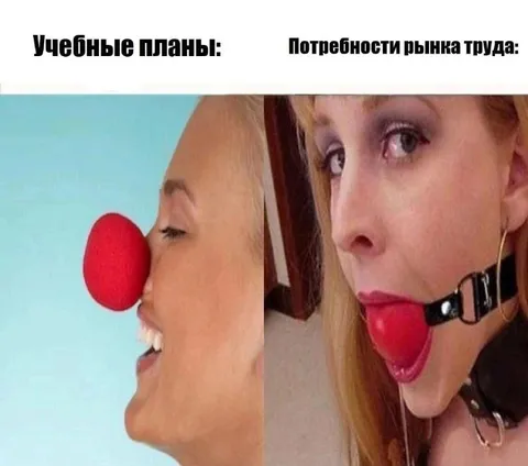 Учебные планы и рынок труда