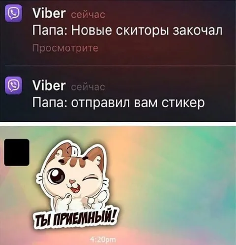 Папа заказал новые скиторы