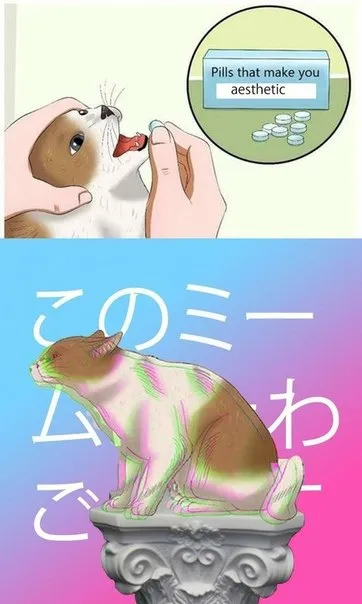 Эстетичные таблетки для кота