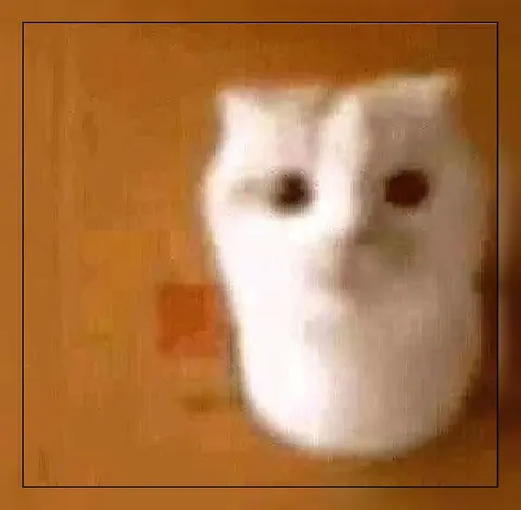 Размытый кот смотрит