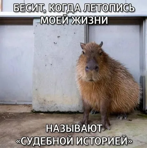 Капибара и судебная история