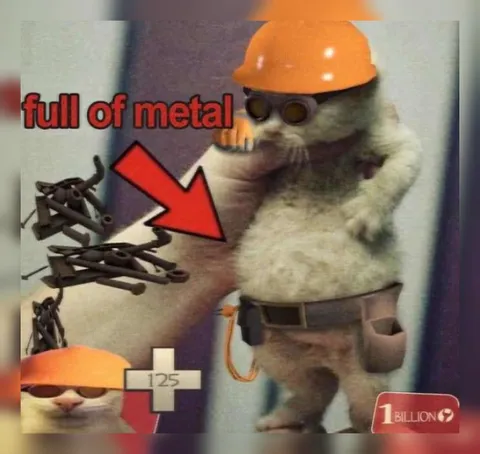 Cat Full of Metal