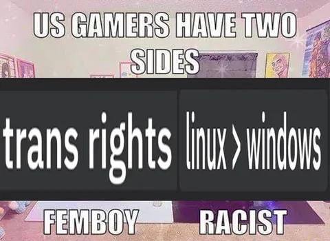US Gamers Have Two Sides