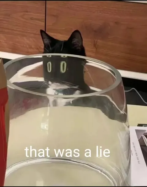 Cat Swallowed Shampoo