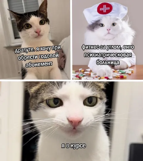 Фитнес за углом — психбольница