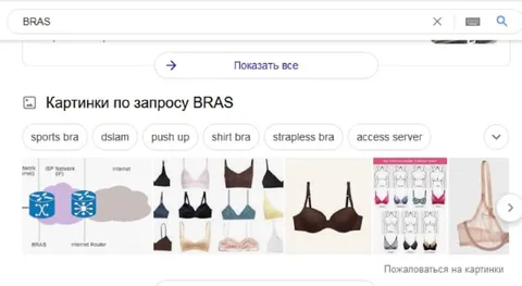 Поиск BRAS вместо bras