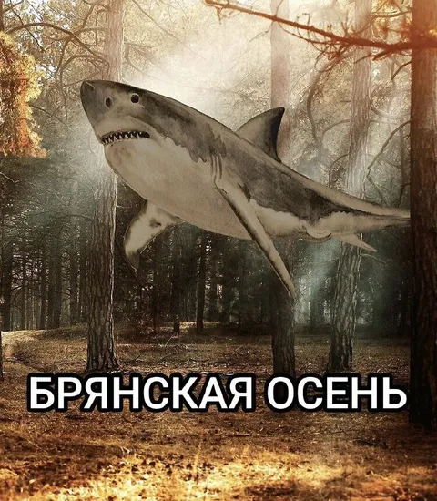 Брянская осень с акулой