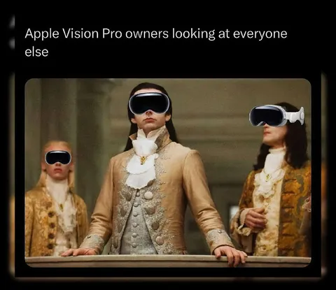Apple Vision Pro Owners Looking