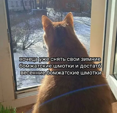 Весенние бомжaтские шмотки