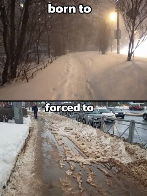 Born To Forced To Winter Meme