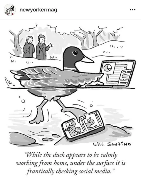 Duck Working From Home