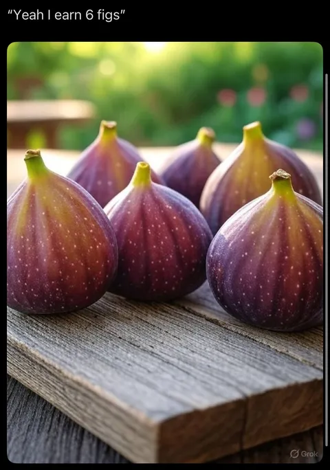 I Earn Six Figs