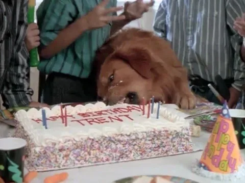 Happy Birthday Trent Dog