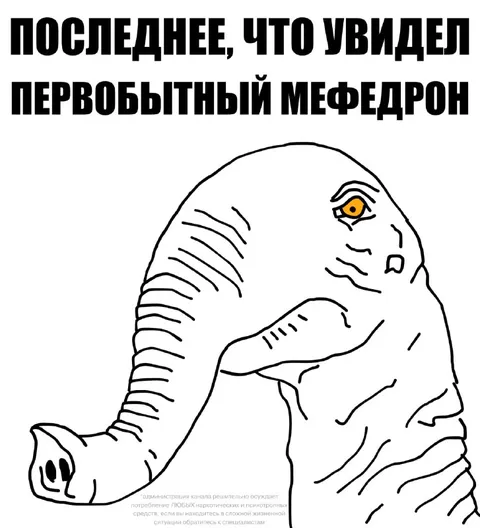 Последнее, что увидел первобытный мефедрон