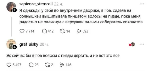 Волосы с пизды в Гоа