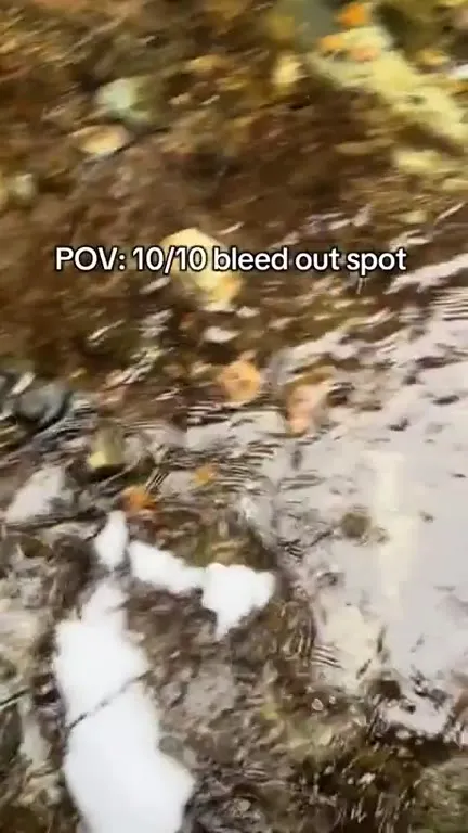10/10 Bleed Out Spot