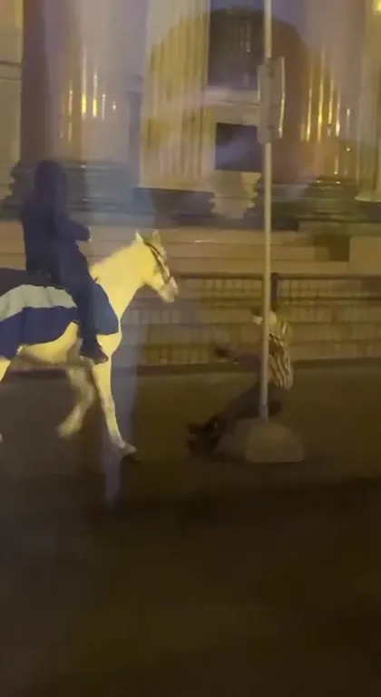 Ночная поездка на лошади