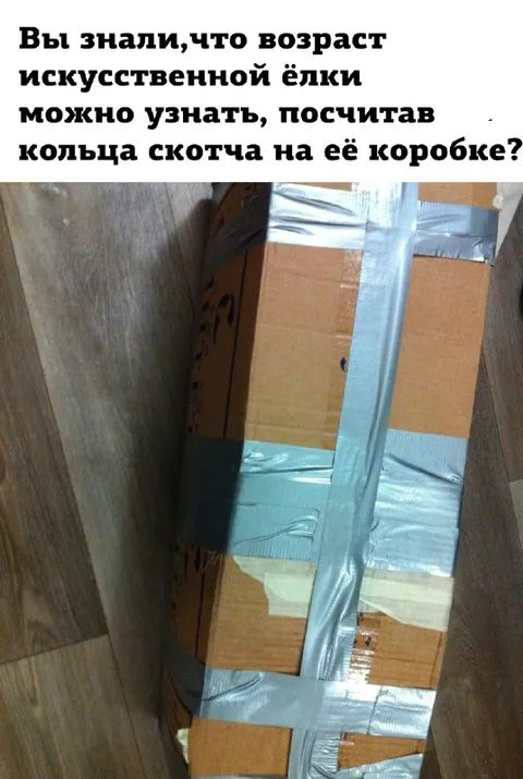 Возраст ёлки по кольцам скотча