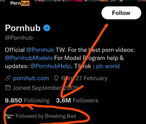 Pornhub Followed by Breaking Bad