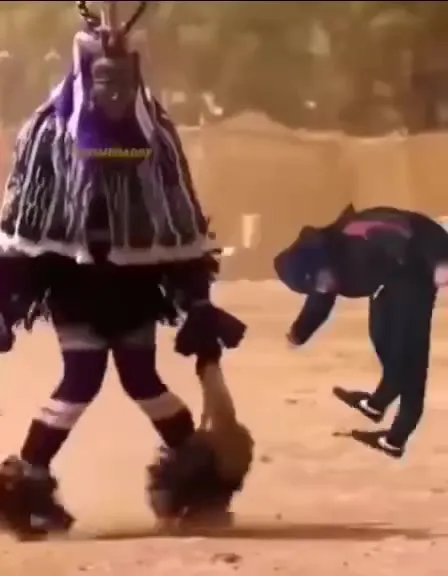 When Gravity Becomes a Lesson