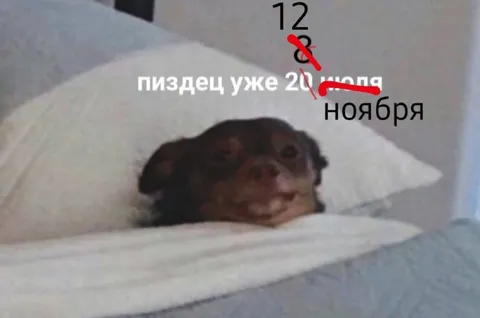 Пиздец уже 20 июля