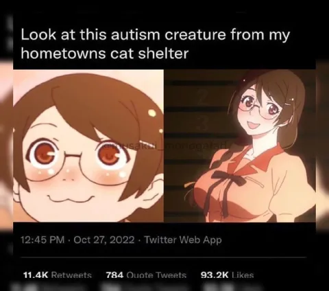 Autism Creature Cat Shelter