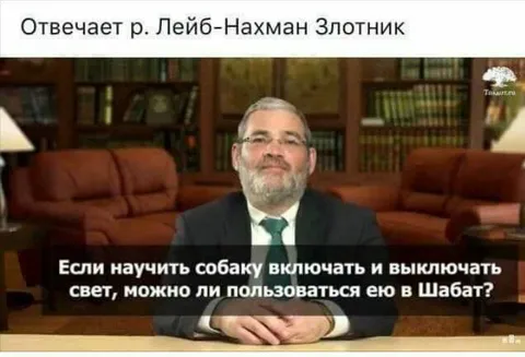 Собака и свет в Шабат
