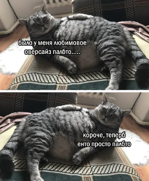 Любимое оверсайз-пальто стало пледом