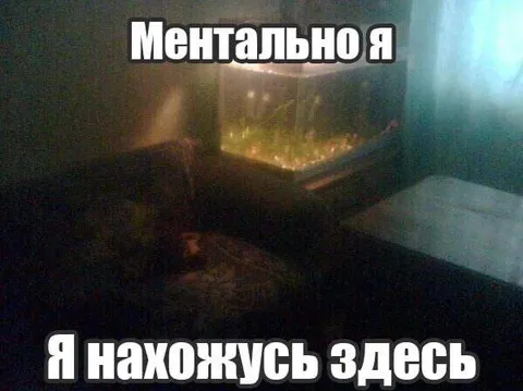 Ментально я нахожусь здесь