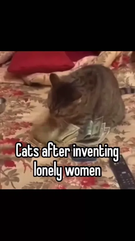 Cats Inventing Lonely Women