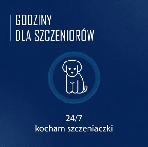 Godziny dla szczeciorów
