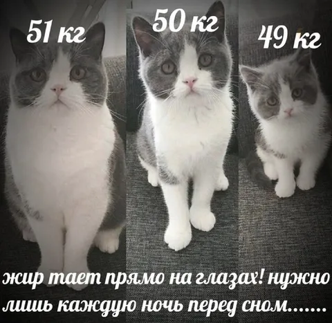 Жир тает прямо на глазах