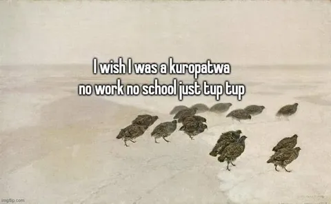 I Wish I Was a Kuropatwa