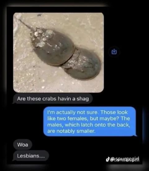 Crab Lesbians Text Exchange