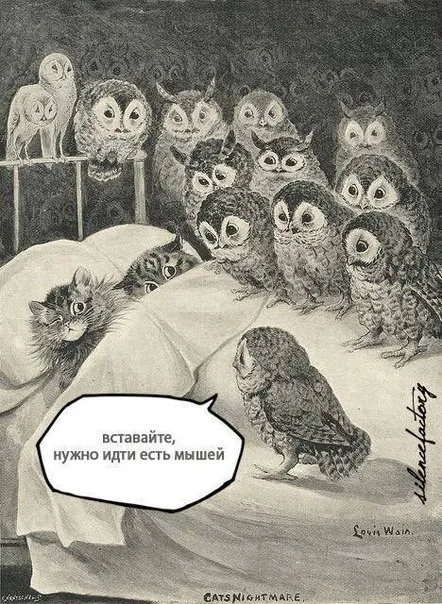 Коты идут есть мышей