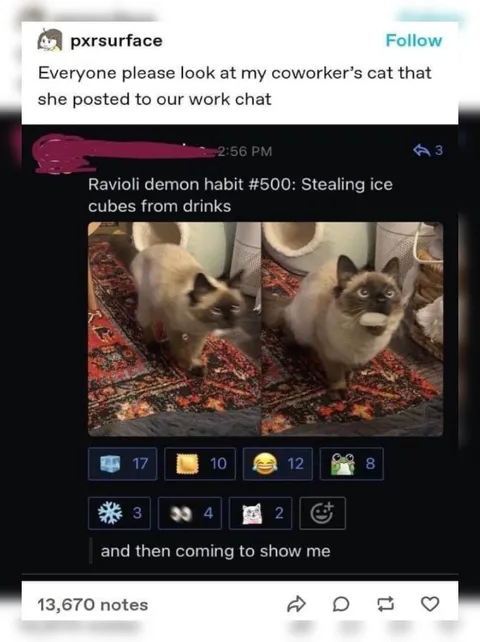 Ravioli Demon Steals Ice Cubes