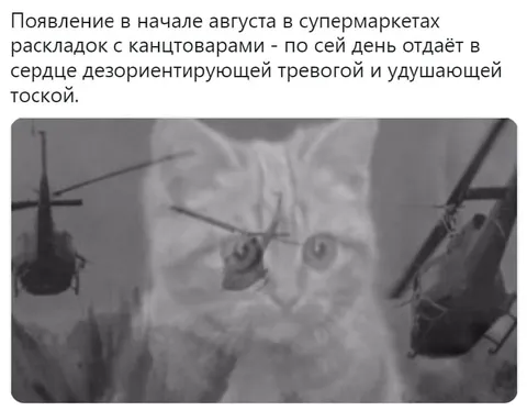 Август и школьные канцтовары