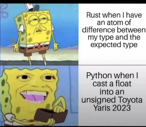 Rust vs Python Type Coercion