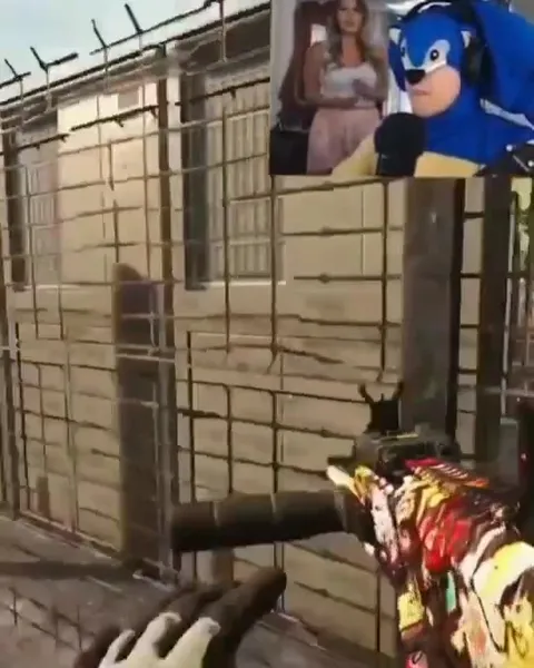 Sonic Gets a Warzone Kill