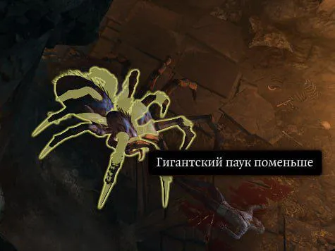 Гигантский паук поменьше