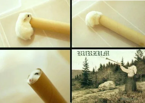 Хомяк превращается в Burzum