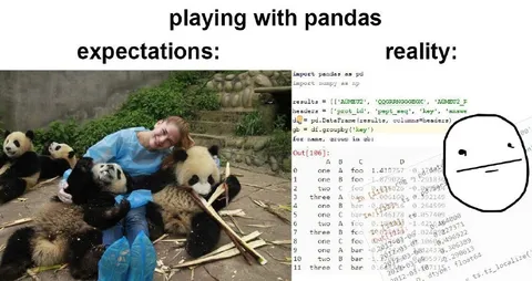 Playing With Pandas Expectations Reality