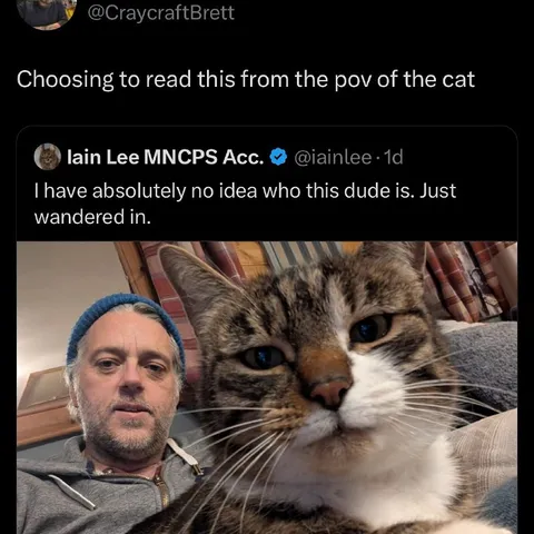Cat Has No Idea Who He Is
