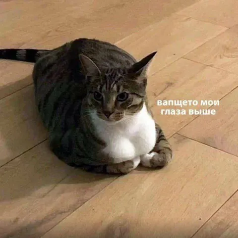 Вапщето мои глаза выше