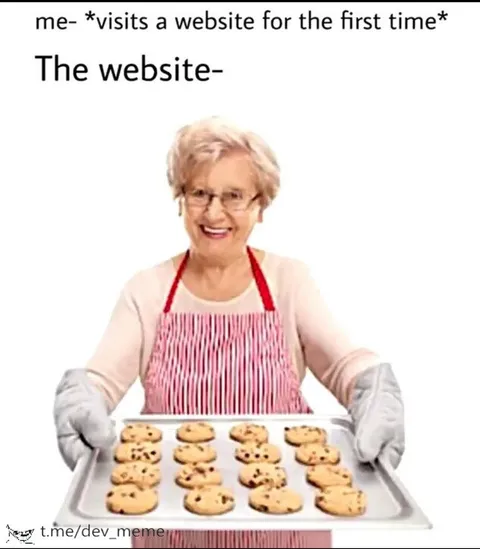 Website Cookies on First Visit