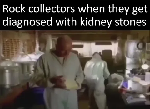 Rock collectors get kidney stones