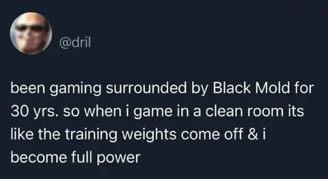Black Mold Training Weights