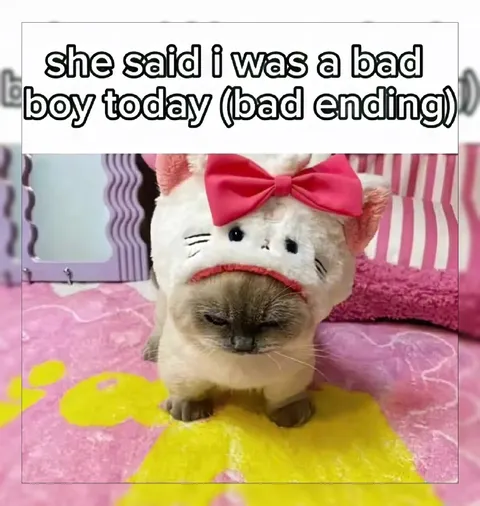 Bad Boy Hello Kitty Cat