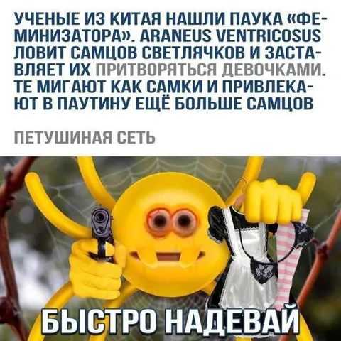 Петушиная сеть быстро надевай