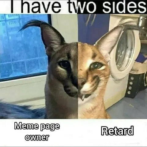 I Have Two Sides Caracal